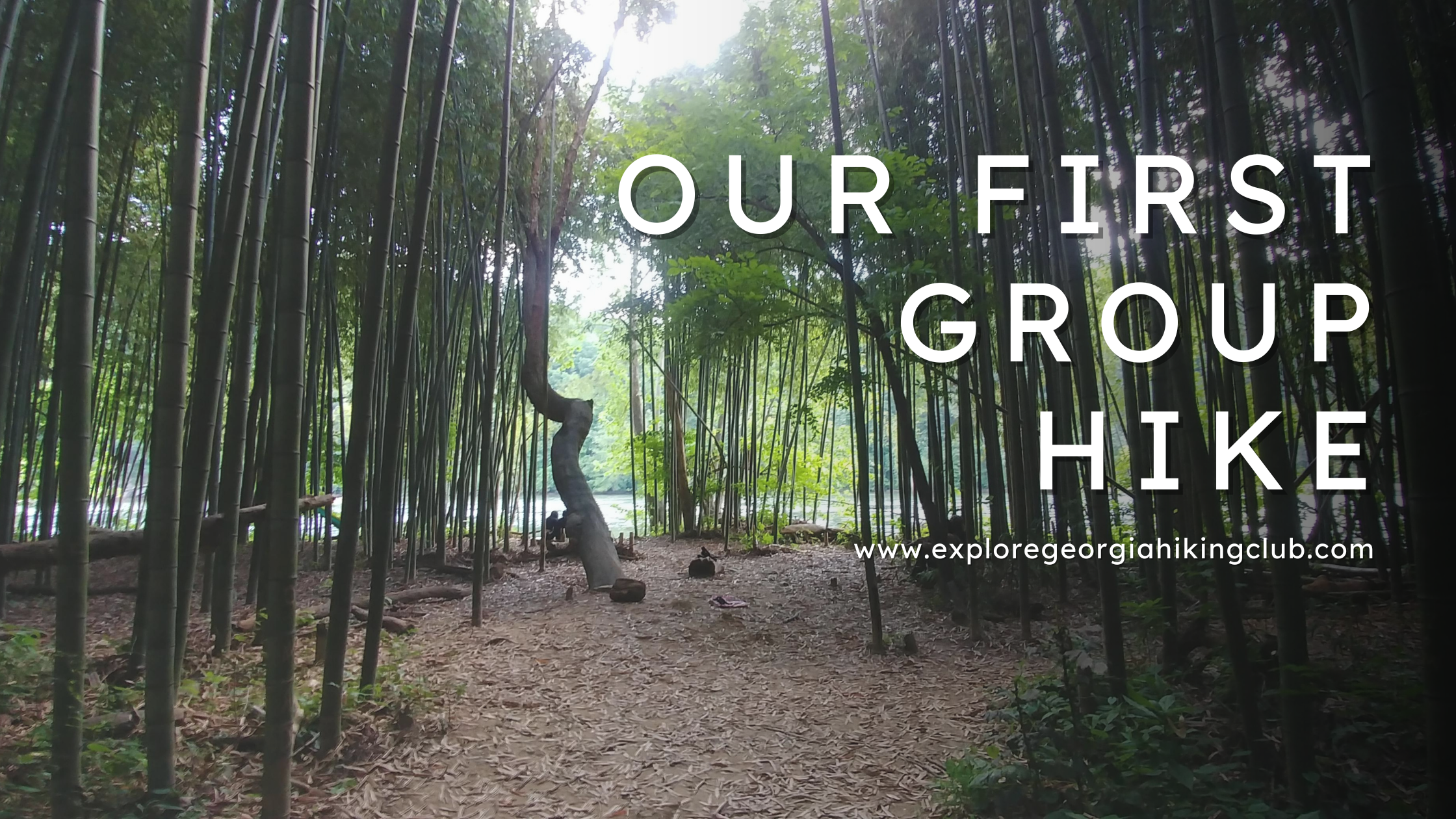 Bamboo Forest Trail in Vinings, GA: Our First Group Hike